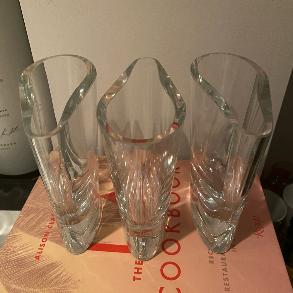 🗽3 CB2 Freeform Flower Vases